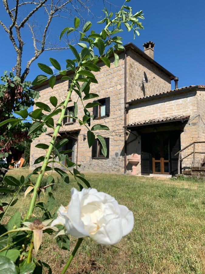 فيلا Casa Di Monica Torre San Severo المظهر الخارجي الصورة